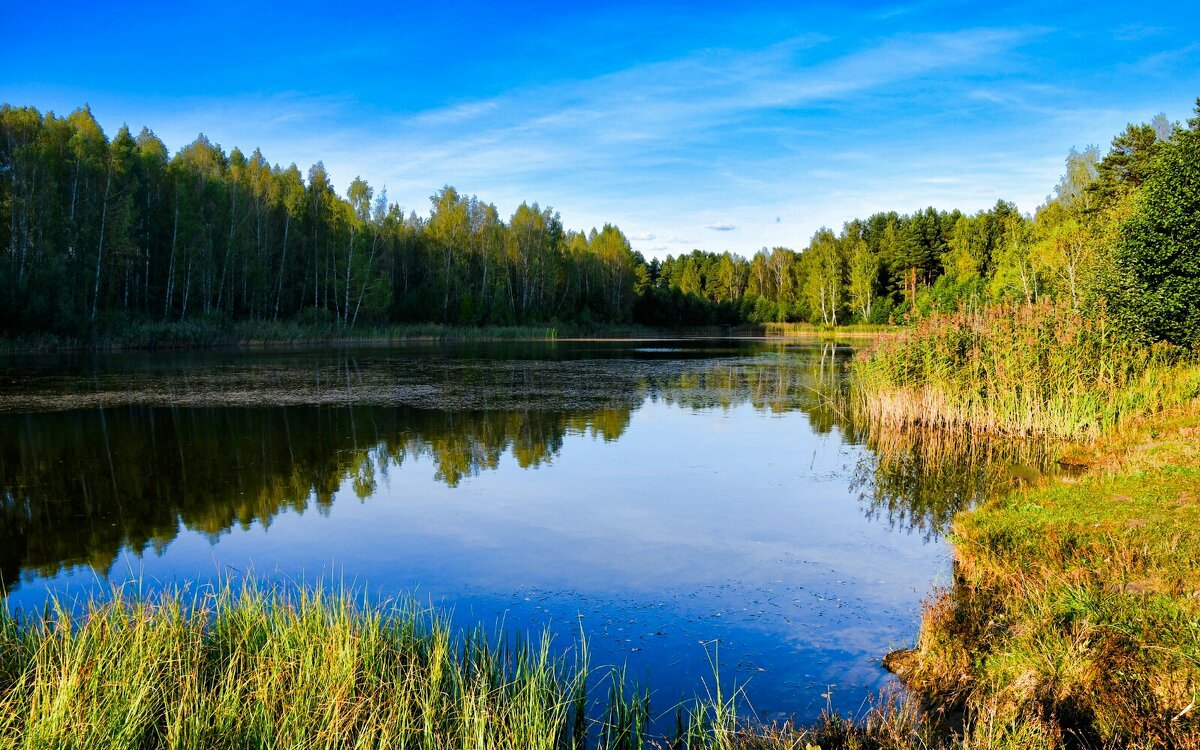 Смоленщина в сентябре (репортаж об осеннем озере). - Милешкин Владимир Алексеевич Смоленщина в сентябре (репортаж об осеннем озере). - Милешкин Владимир Алексеевич