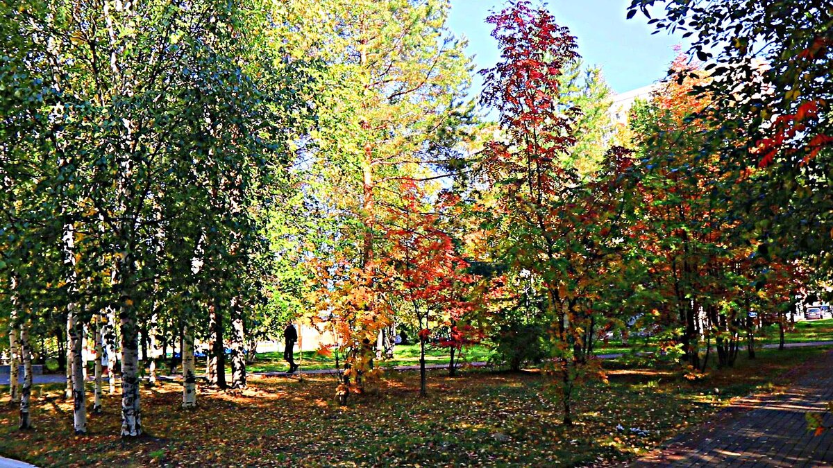 Сентябрь...Запах осени прелый! - Владимир 