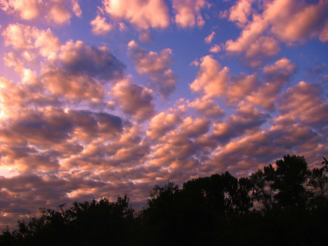 Утро сентября - Людмила Смородинская