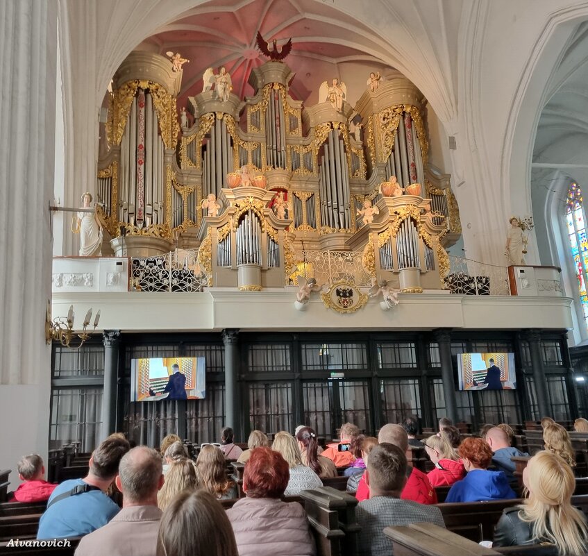 Органный концерт в Кафедральном соборе. - Андрей Андреев Андреев