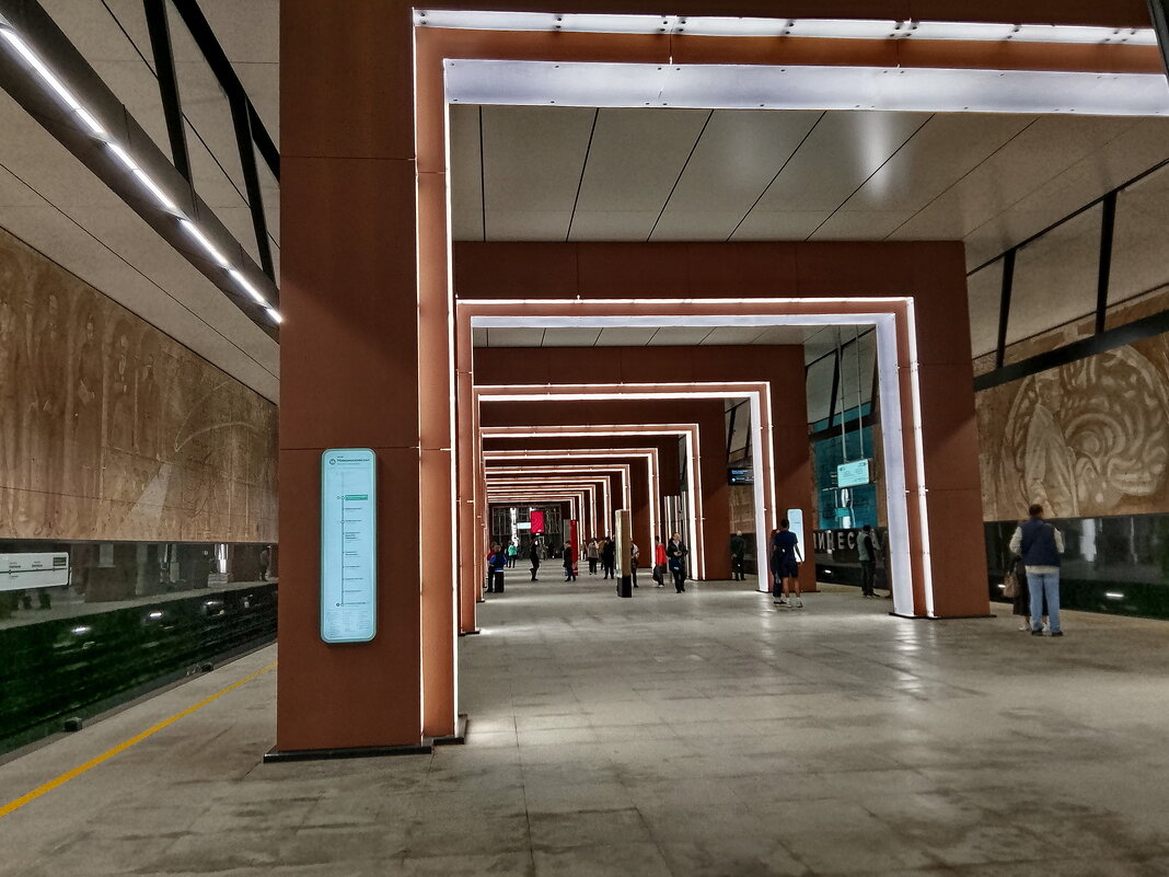 Станция метро Академическая Троицкой линии - Анастасия Смирнова