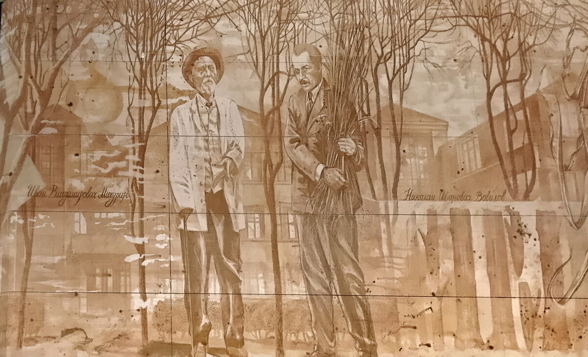 Станция метро Академическая Троицкой линии - Анастасия Смирнова