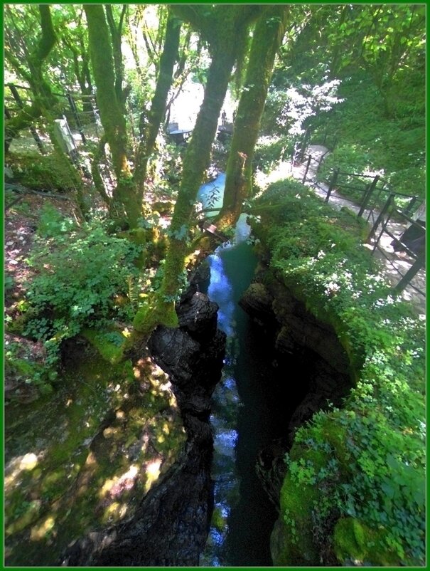 Грузия.  Мартвильский природный парк. - Ольга Довженко