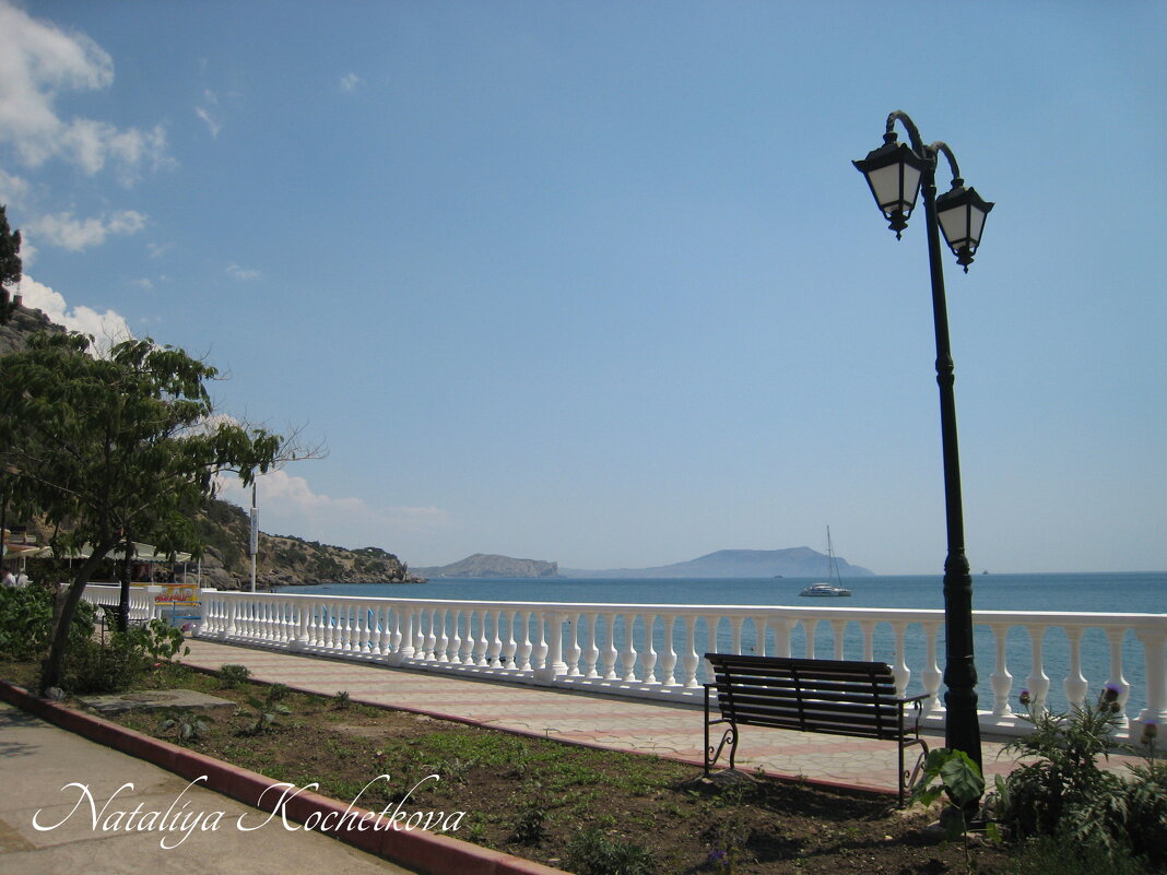 Природа Крыма - Amazing Cosmea