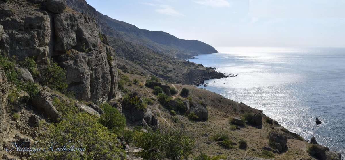 Природа Крыма - Amazing Cosmea