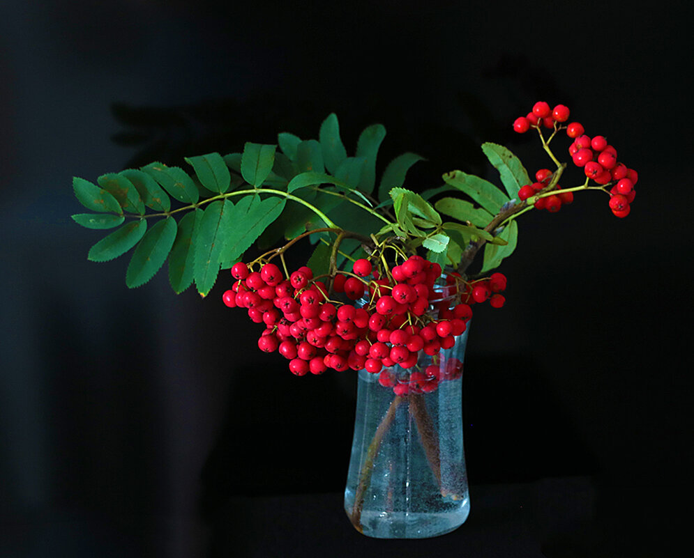 Рябиновый букет - Светлана 