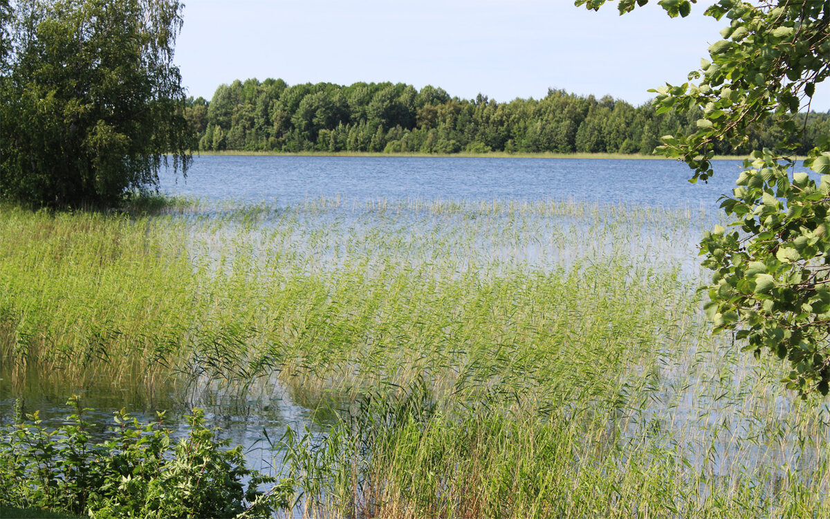 берега Онежского озера - Любовь ***