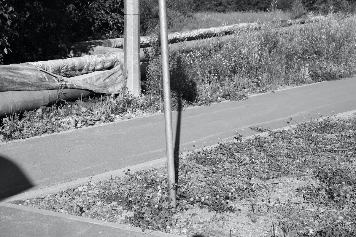 ... - Денис Безногов