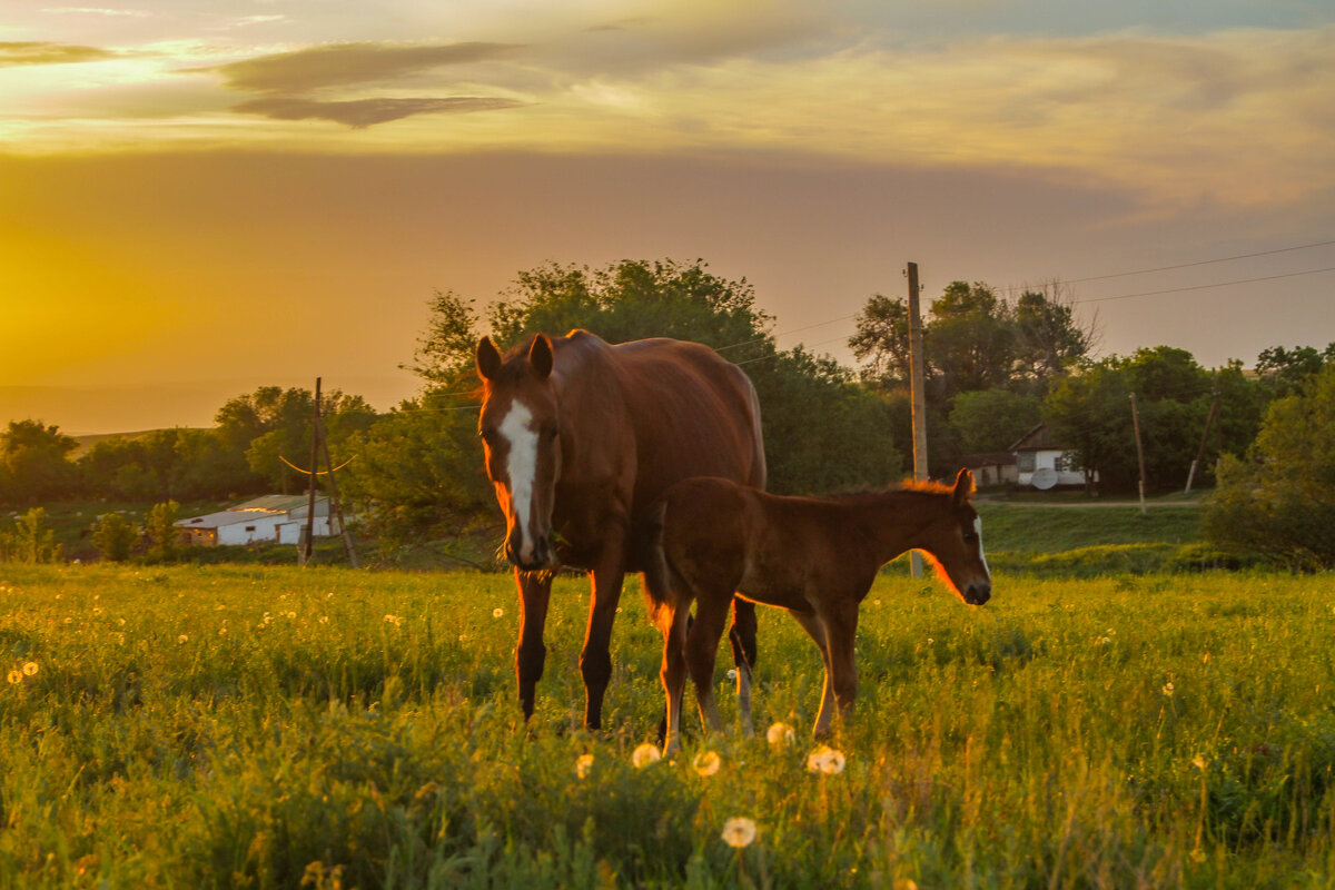 вечерний закат - Алтынбек Картабай 