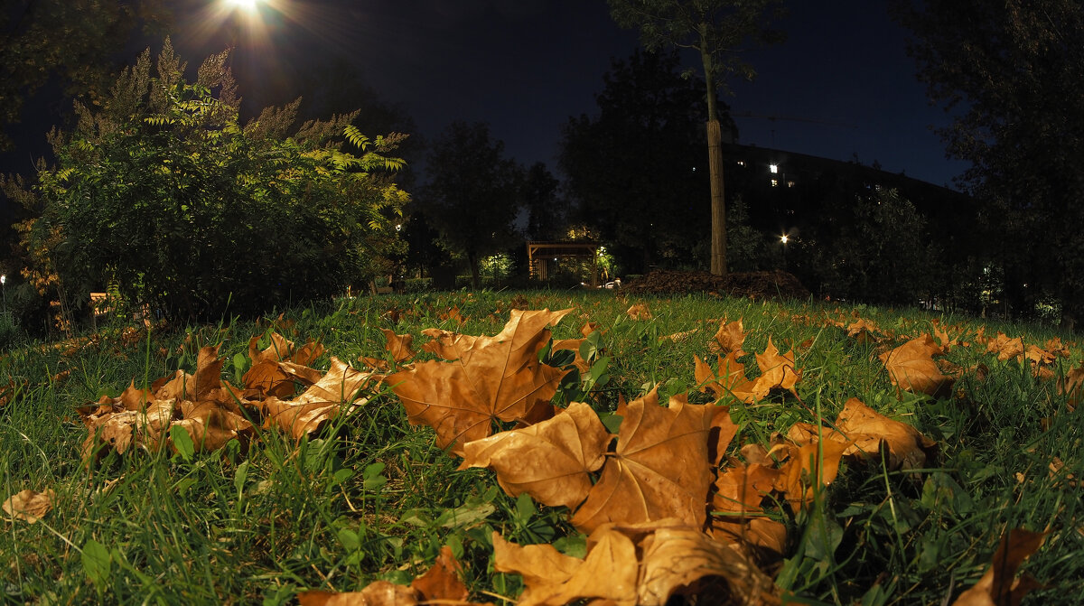 Осень - юрий поляков