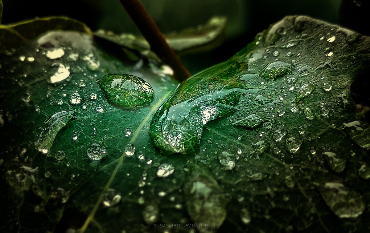 My magic Petersburg_04223 - Станислав Лебединский