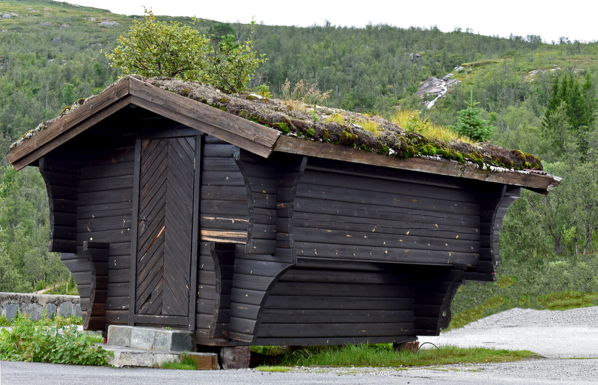 torvtak- дом с земляной крышей - Nina Streapan