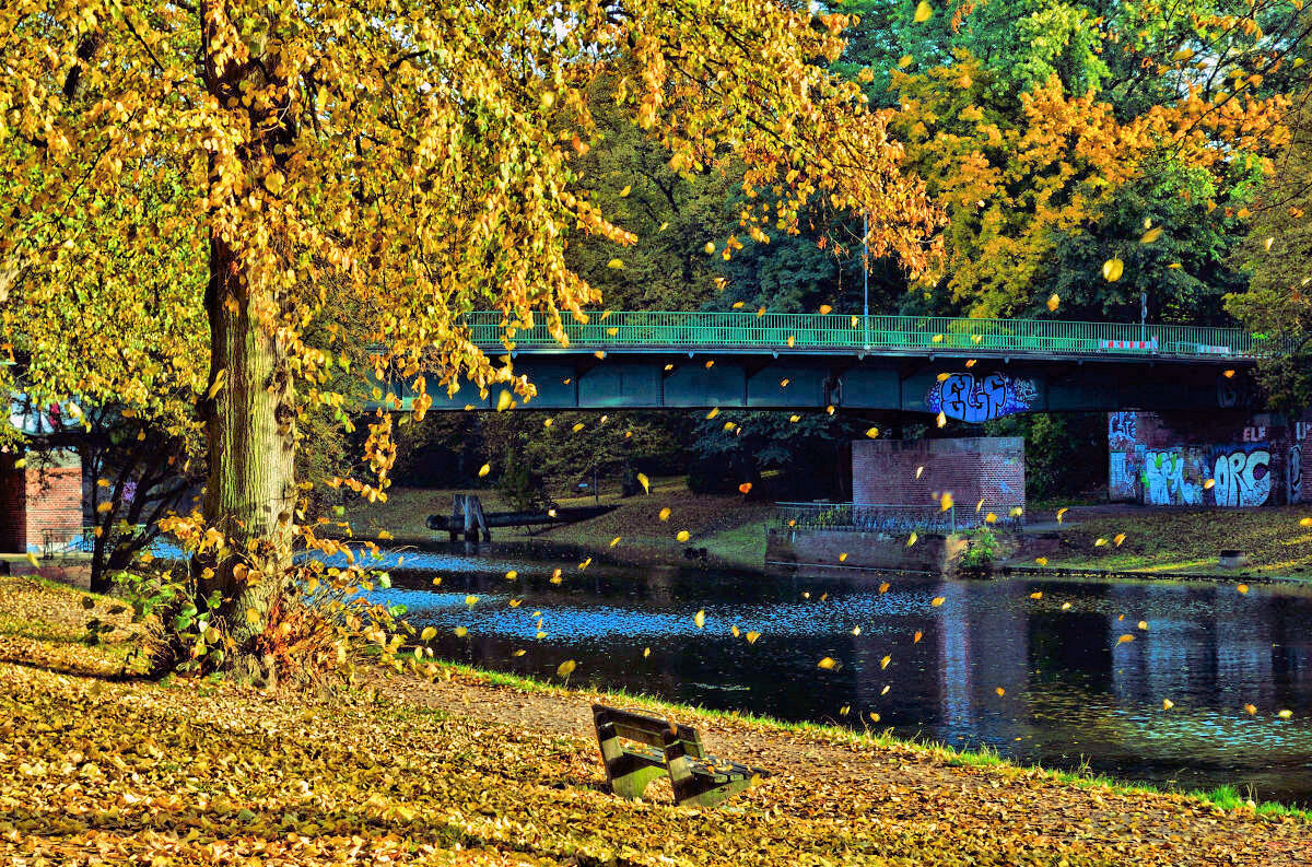 Листопад - Галина Шеина-Мюльдорфер Листопад - Галина Шеина-Мюльдорфер