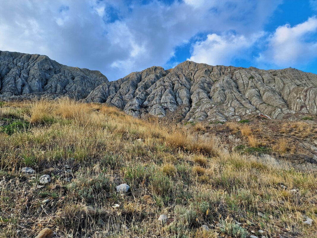 Лисья бухта - Мария Яковлева