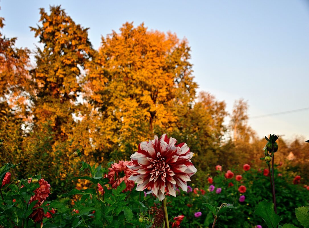 Удачный момент - Владимир Мигонькин
