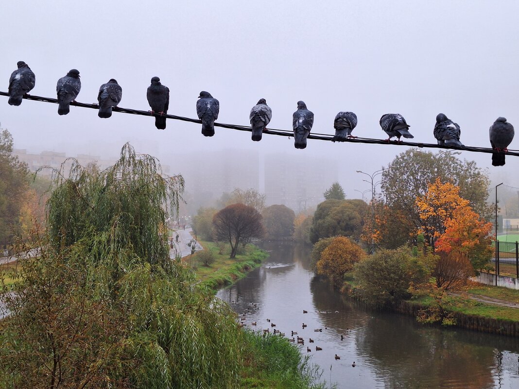Посиделки - Наталья 