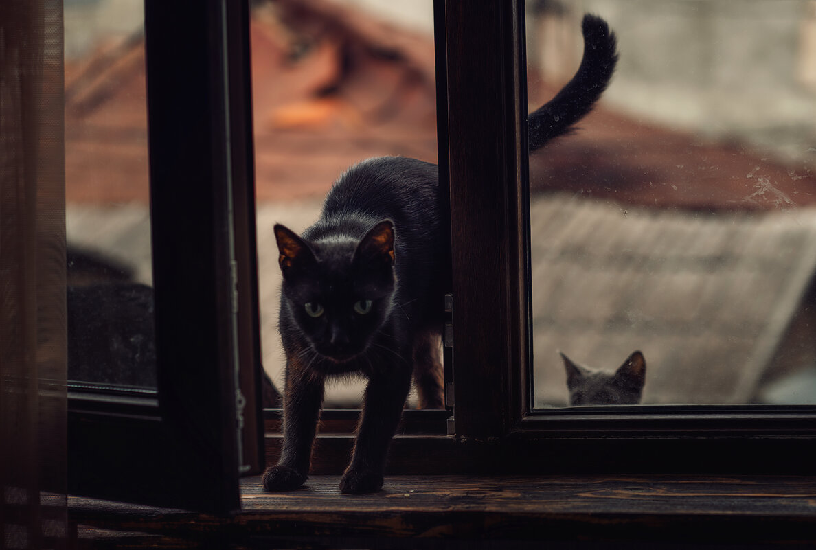 Можно к вам? - Лилия . Можно к вам? - Лилия .