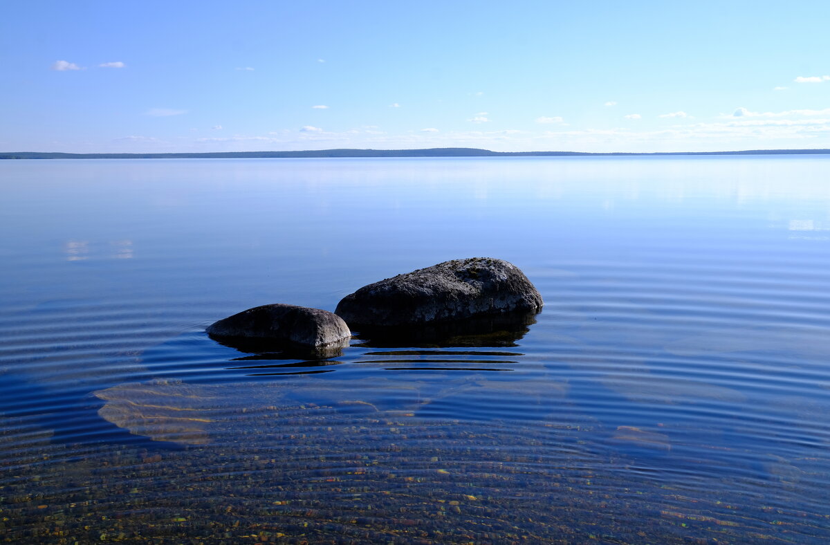 Тишина - Андрей Зайцев