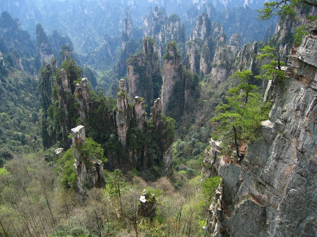 Национальный парк Чжанцзяцзе (Горы Аватара) в Китае. - unix (Илья Утропов)