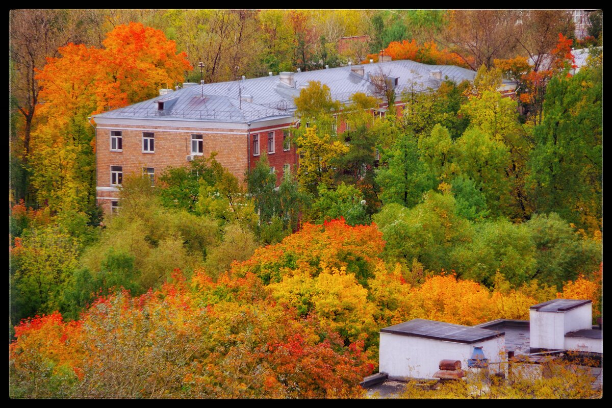 Осенняя сказка... - Руслан 