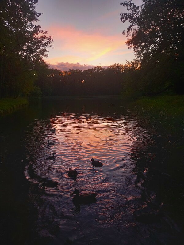 Закат - Сапсан 