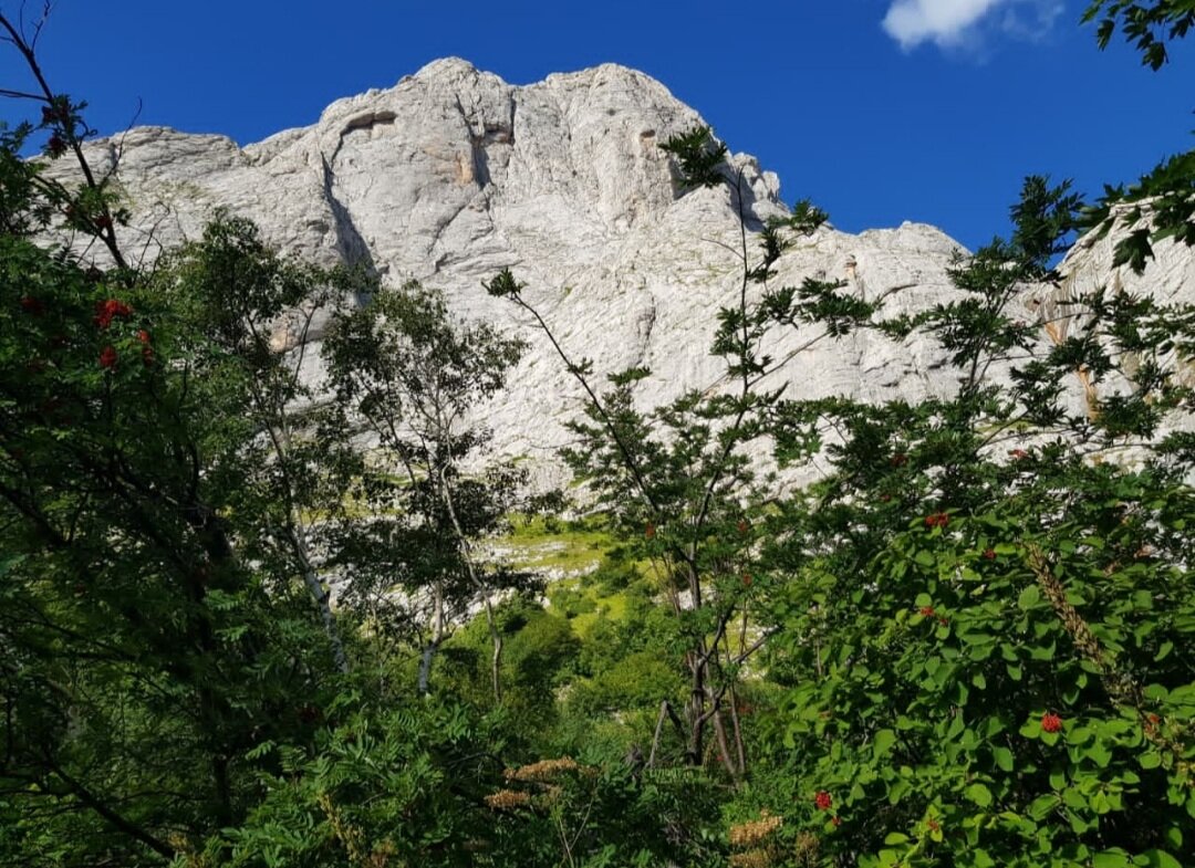 Пшехский водопад - Tata Wolf