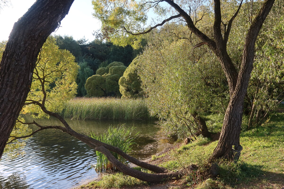 Бабье лето - Дмитрий И_