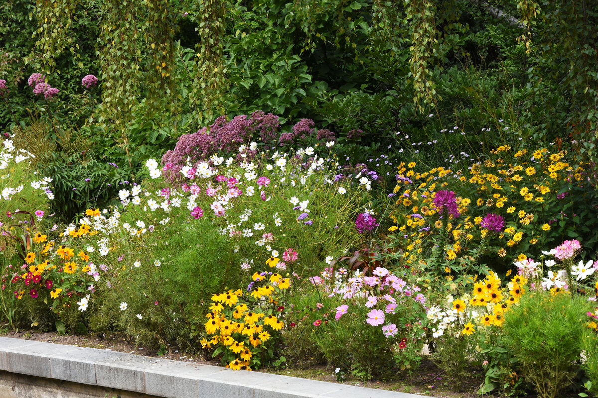 Москва. Август в Аптекарском огороде. - Наташа *****
