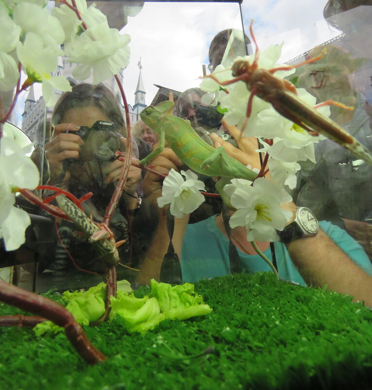 фотосессия - ИРЭН@ . фотосессия - ИРЭН@ .