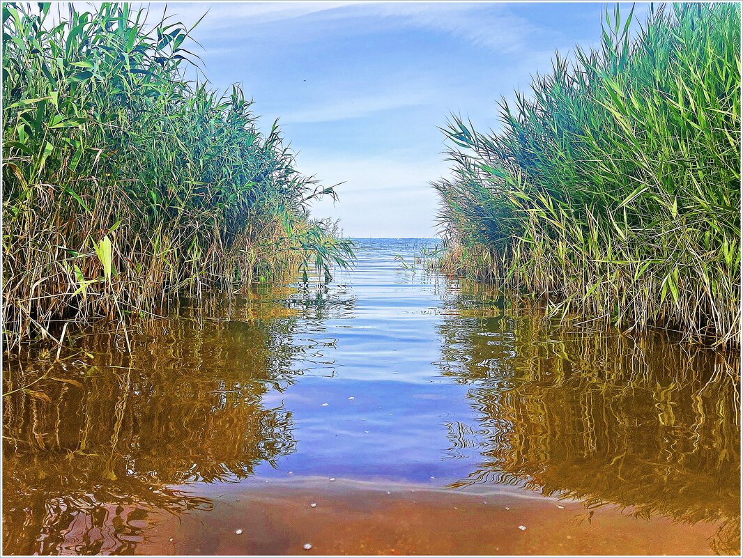 На Калининградском заливе. - Валерия Комова