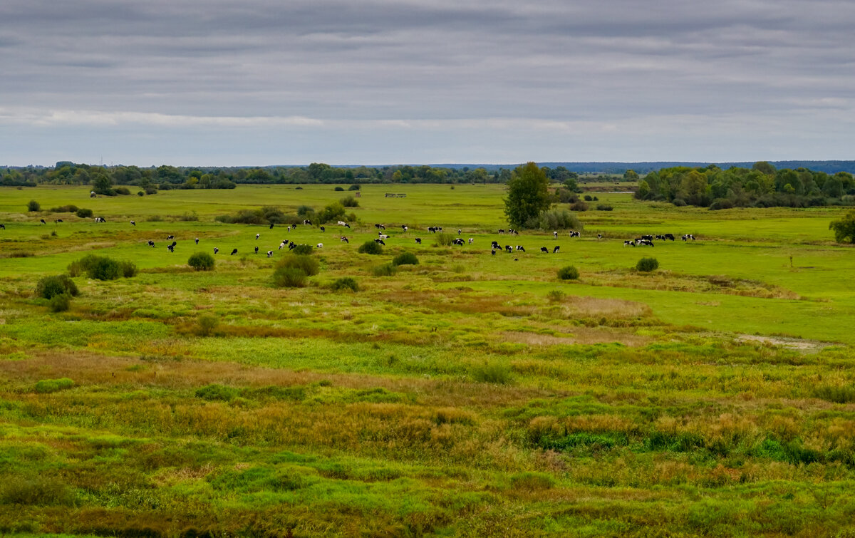 Начало Осени - Игорь Сикорский