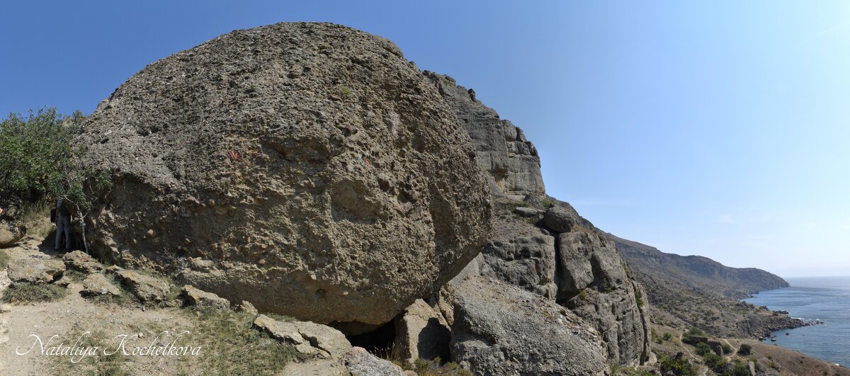 Природа Крыма - Amazing Cosmea