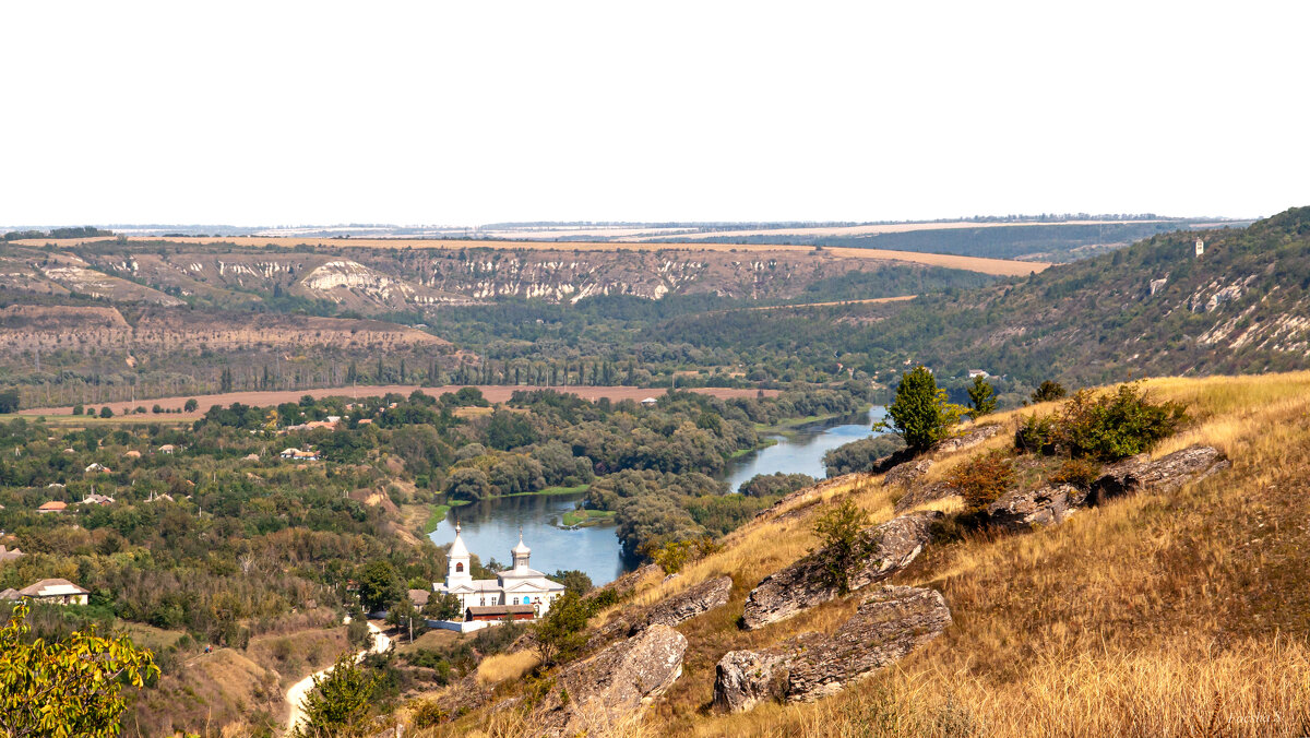 "-" - Светлана Фокша