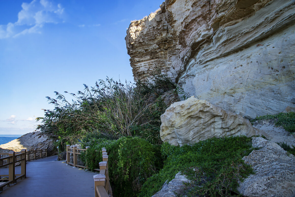 Берег - Анатолий Чикчирный