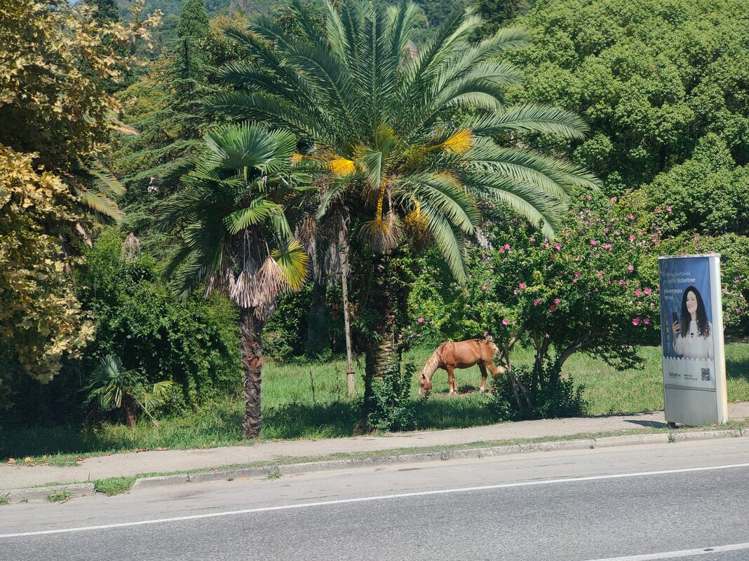 В парке - Ирэн 