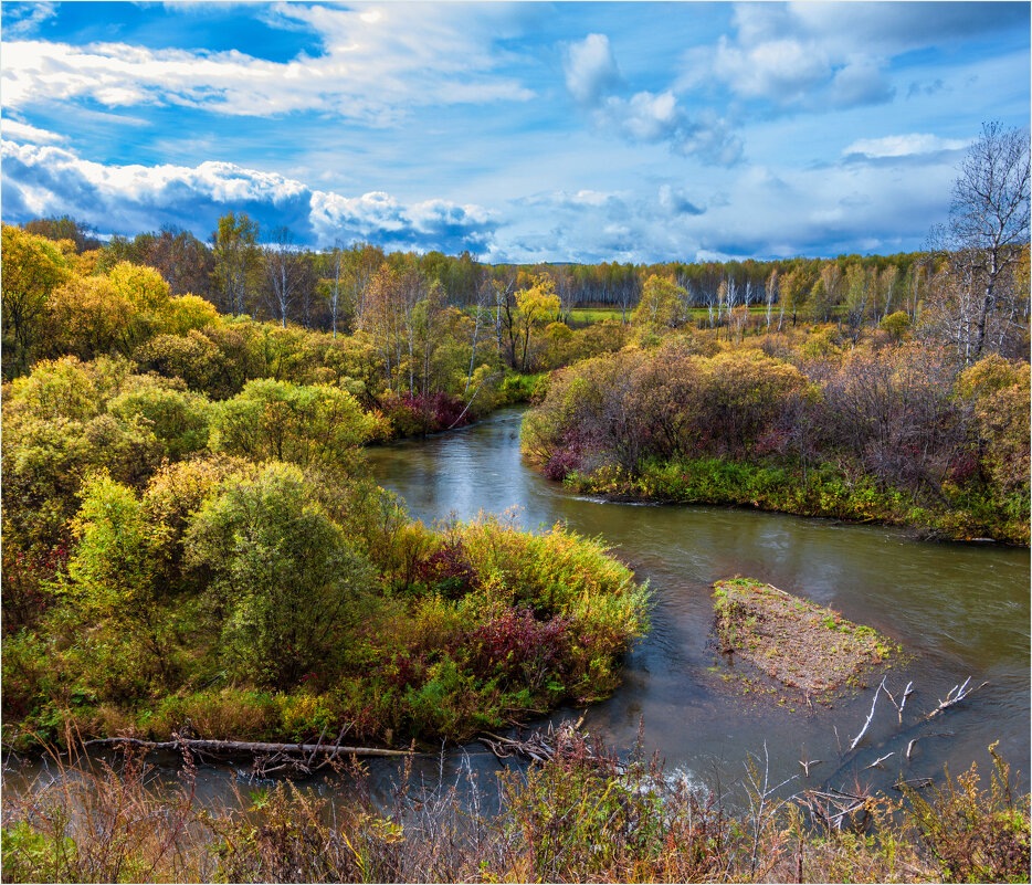 **** - Алексей Мезенцев
