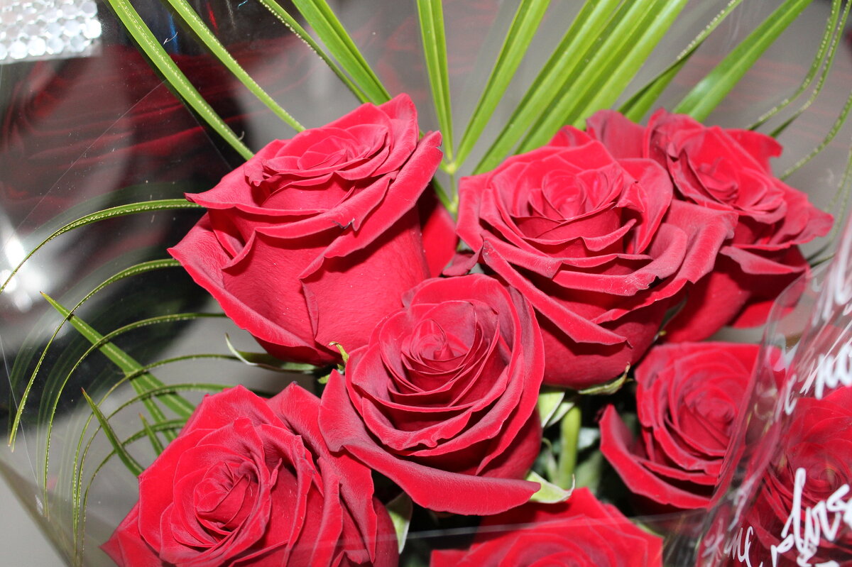 ПРАЗДНИЧНЫЙ БУКЕТ - СЕРГЕЙ ФИЛОЧКИН