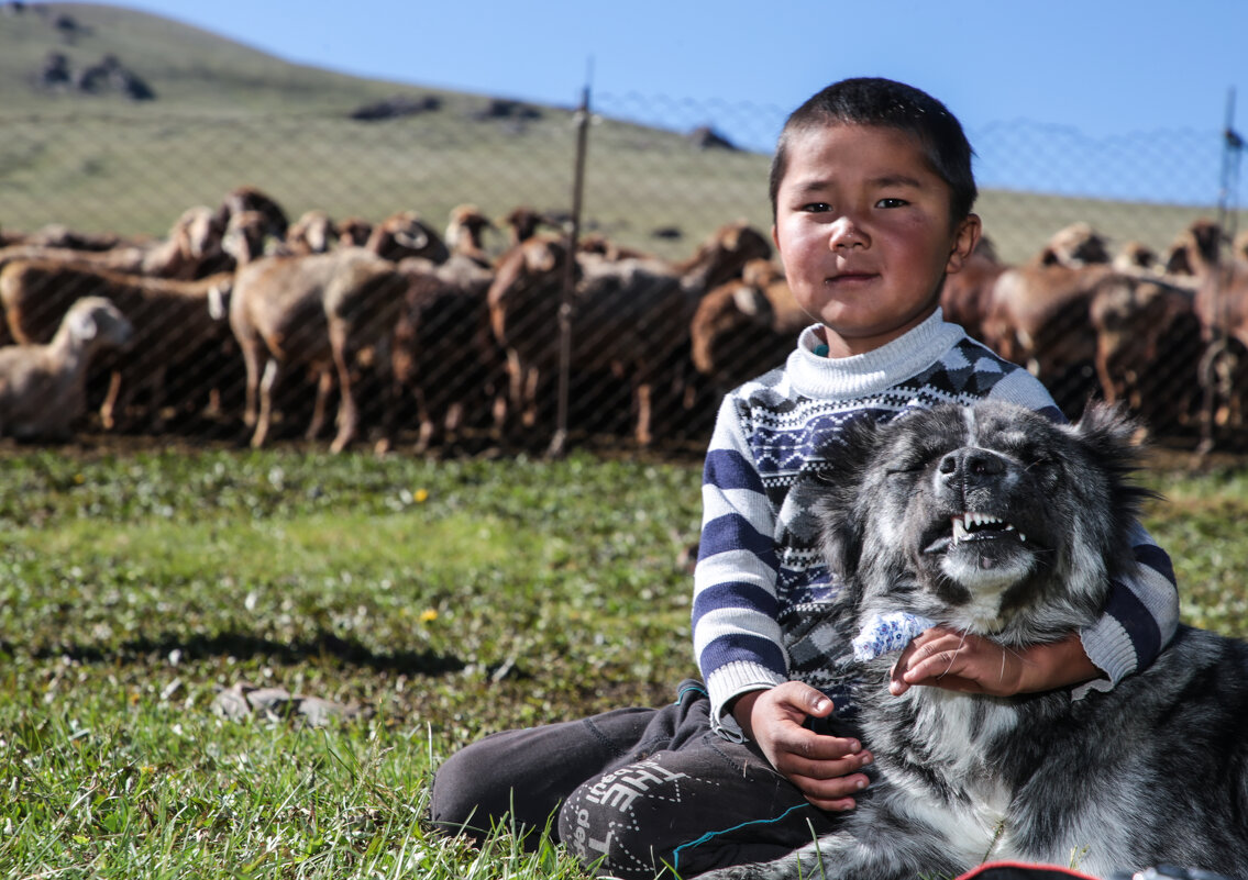 Маленький чабан и его верный друг - Алтынбек Картабай 