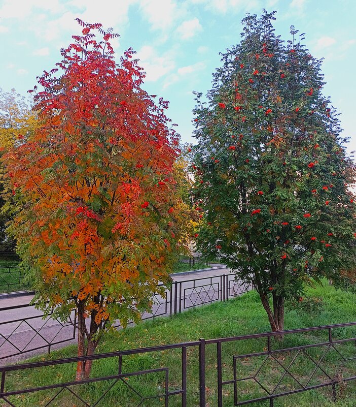 Две сестрички.. - Василий 