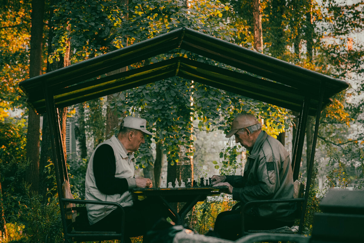 повседневная жизнь - Лана Пипякина