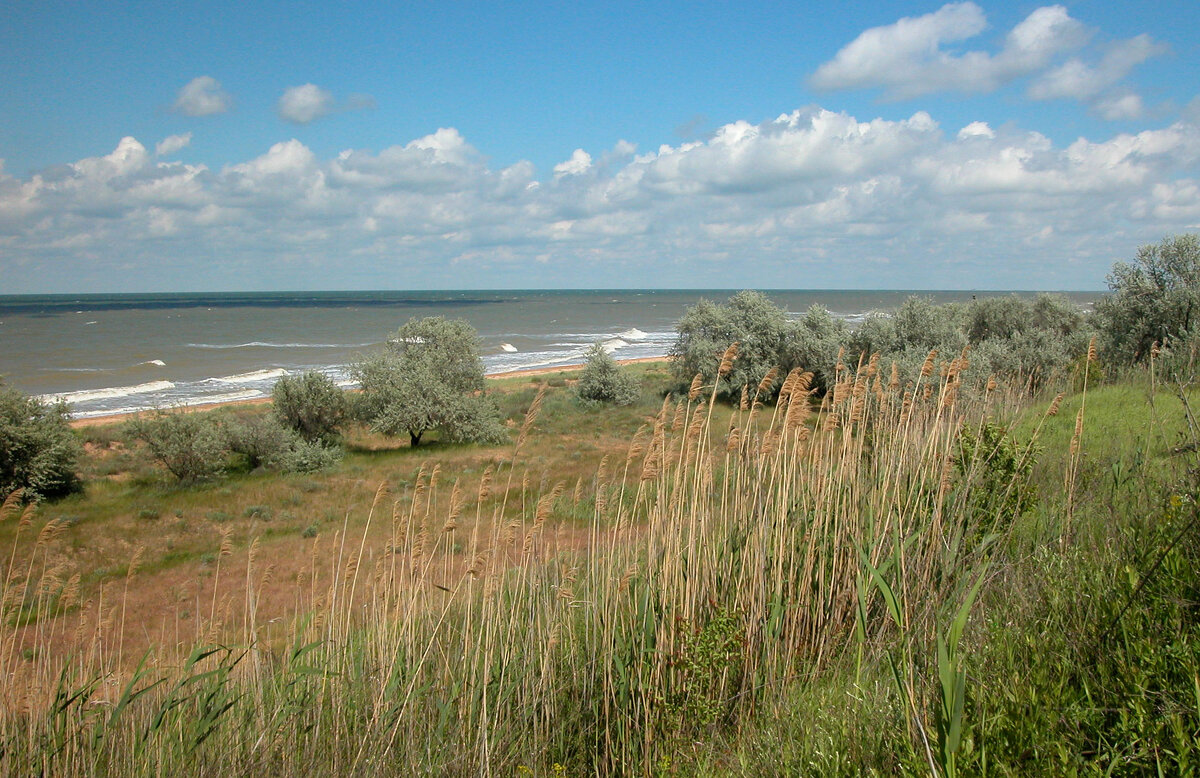 Ветреный день. - Наталья Лунева Ветреный день. - Наталья Лунева