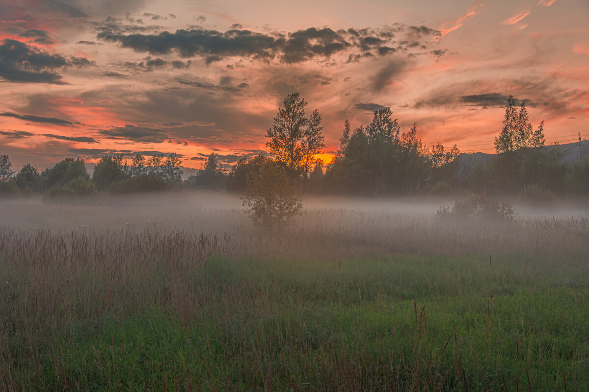 Вечерний туман - Александр Филатов