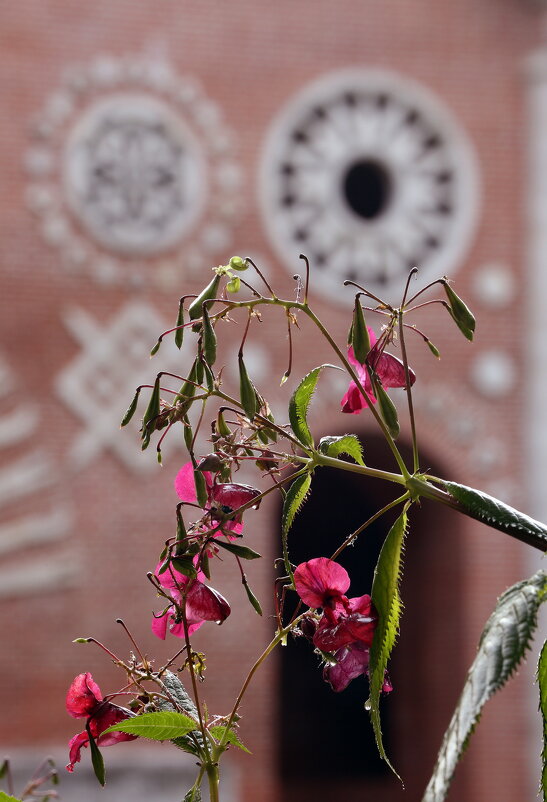 18 сентября в Царицыне - Михаил Бибичков