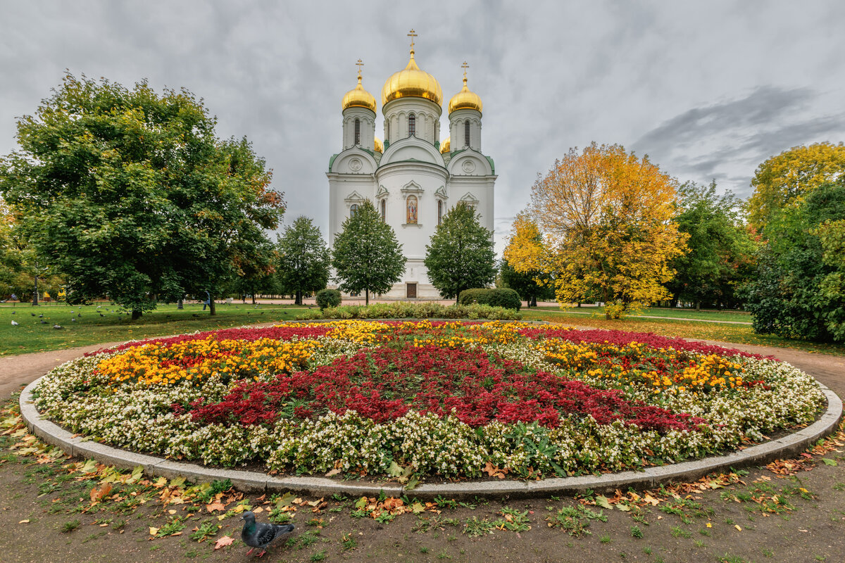 Про Питер - Владимир Колесников
