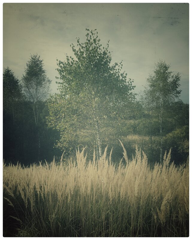 *** - someone somewere