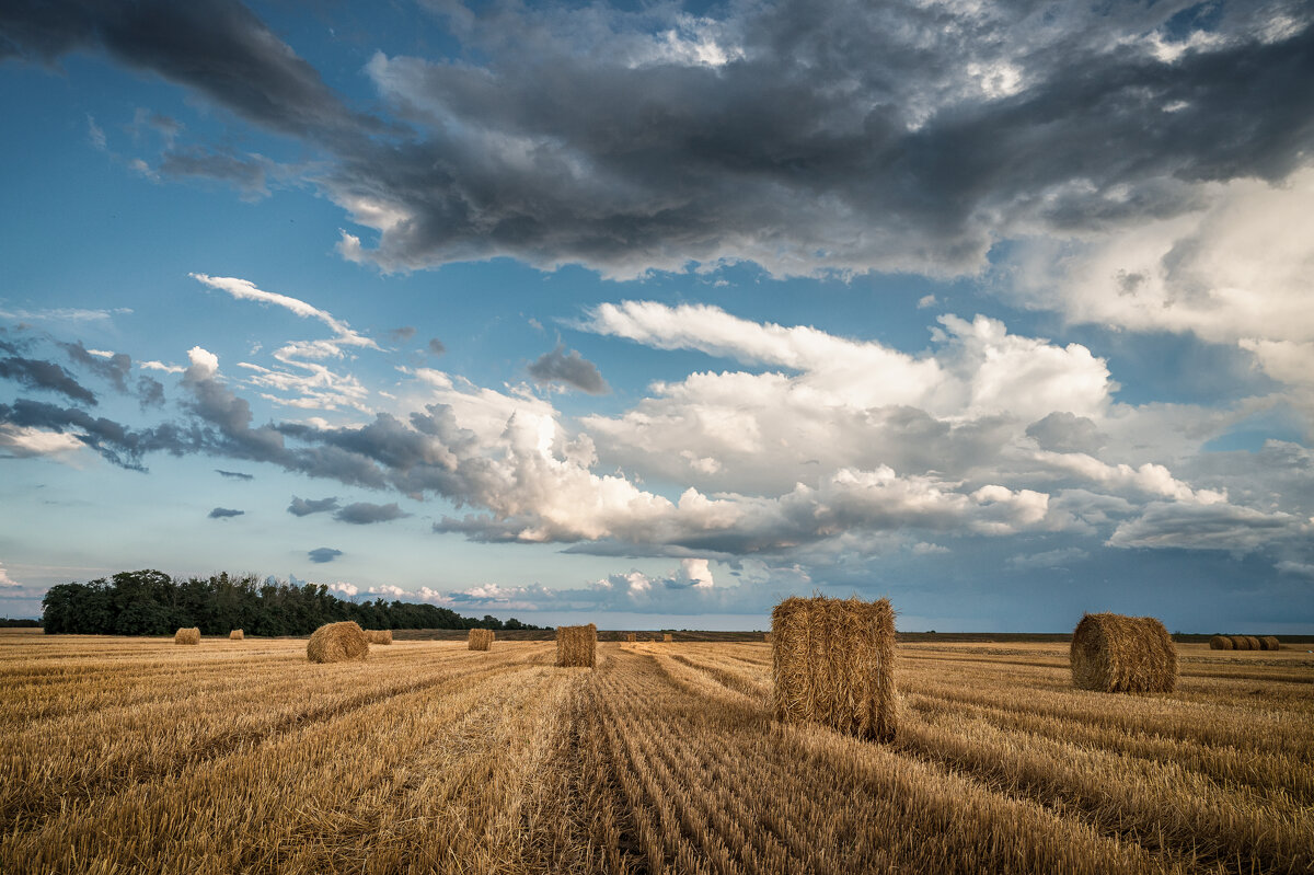 Нивы сжаты...) - Ирина 
