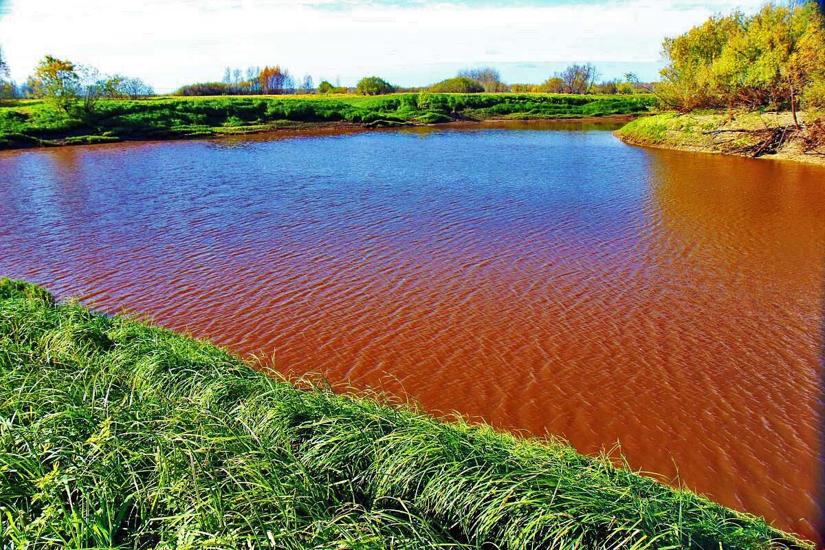 Покраснела вода в протоке Девкиной... - Владимир 