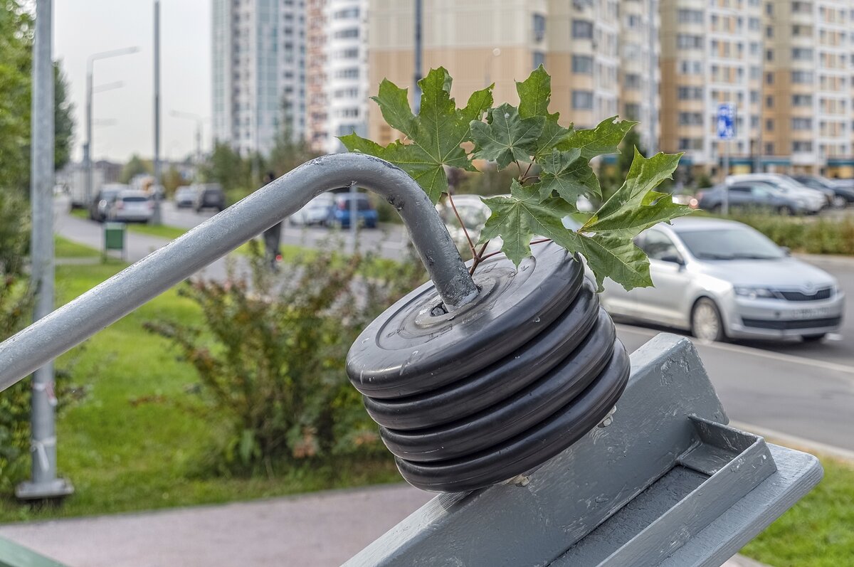 Спортивный натюрморт - Валерий Иванович