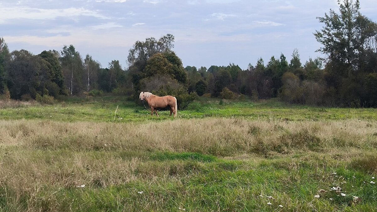 Соболь любит одиночество! - Ольга Соболь любит одиночество! - Ольга
