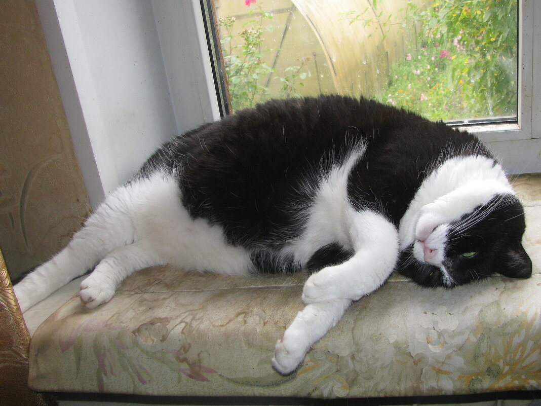 Кайфует - Людмила Смородинская